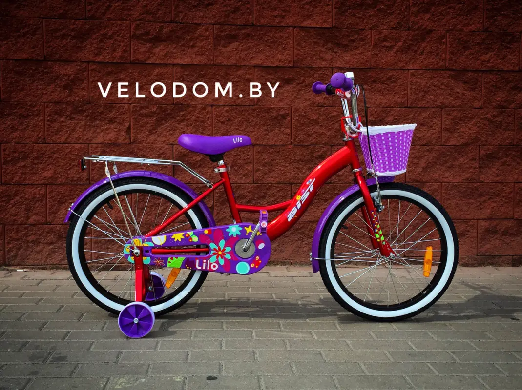 Aist Lilo 20" бордовый/фиолетовый 1