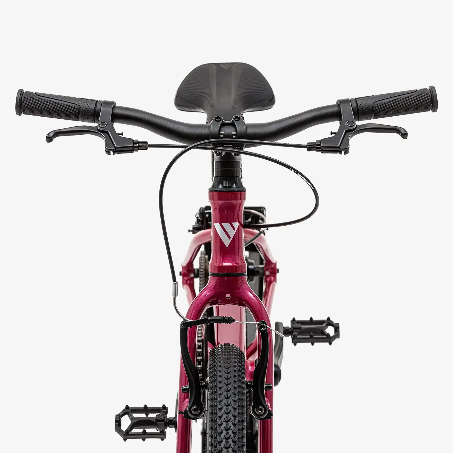 Детский велосипед Welt Moovix 1.0 VB 20 Electric Pink 1