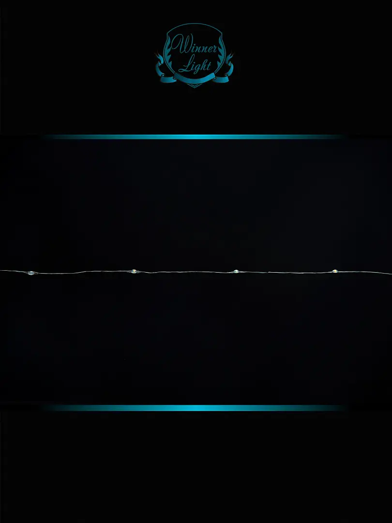 Гирлянда Нить-Роса 500 LED мульти 50м m.01.4G.500- 1