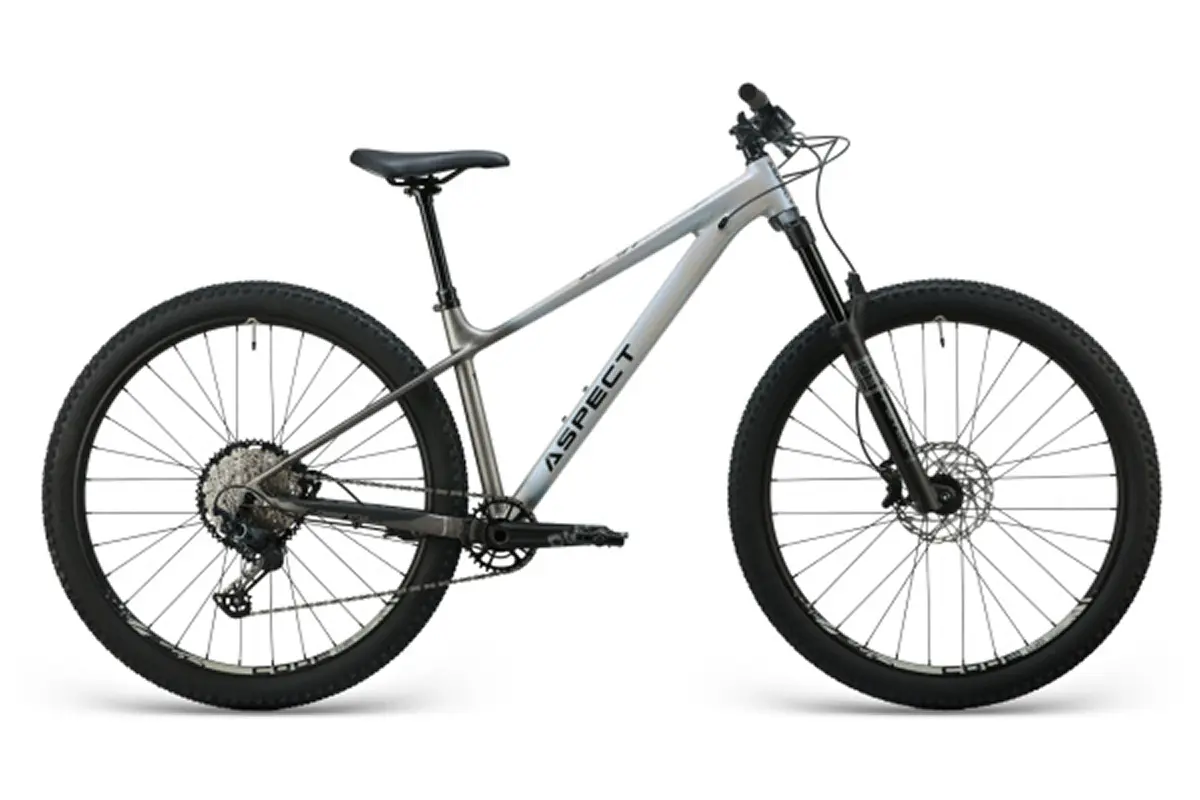 Aspect Ronin Elite 29 Бежевый 1