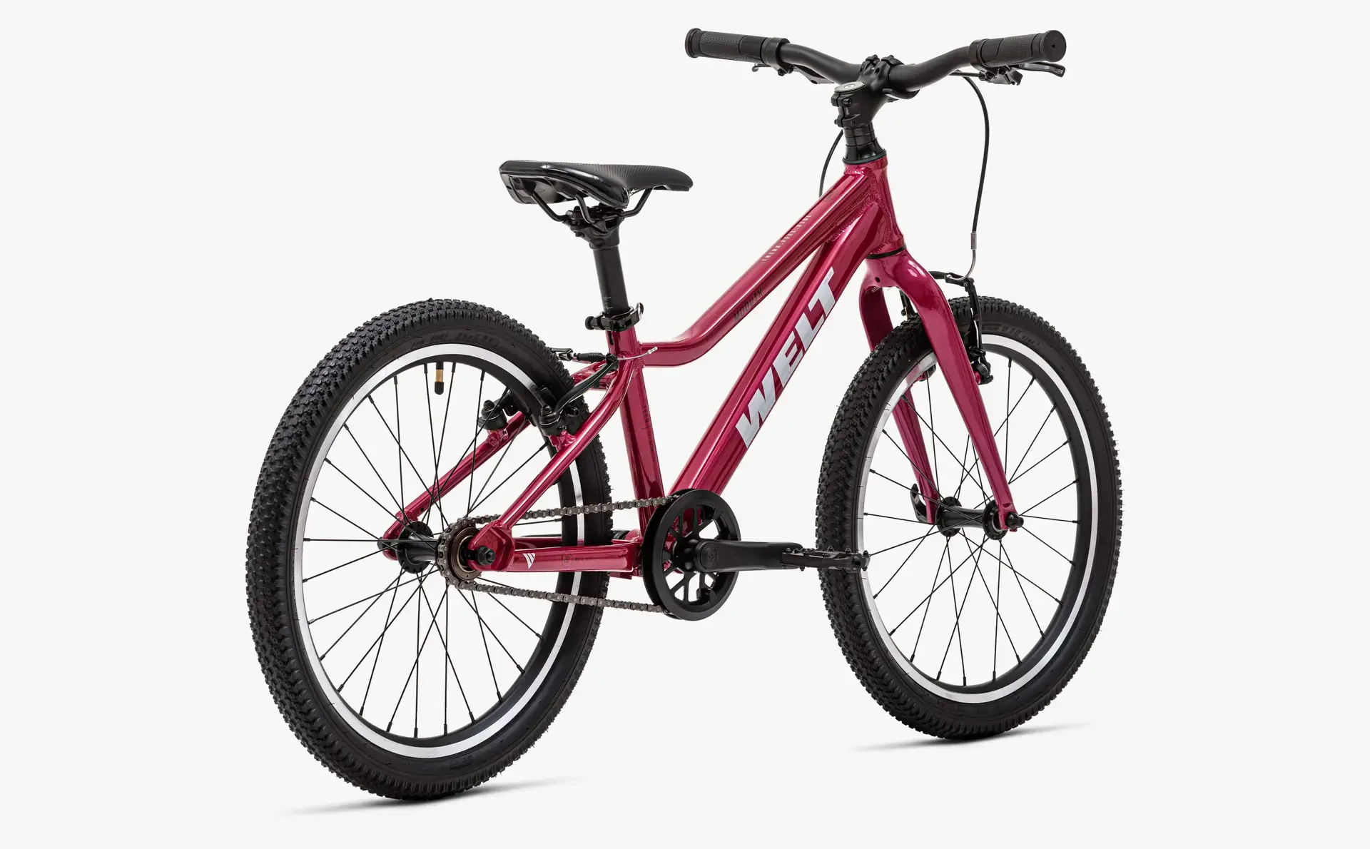 Детский велосипед Welt Moovix 1.0 VB 20 Electric Pink 1