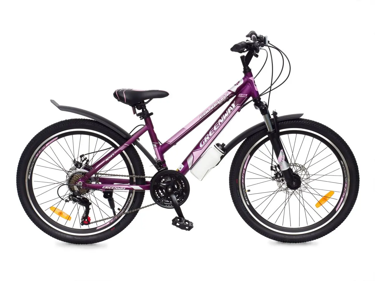 Велосипед Greenway Colibri-H 24 фиолетовый-розовый 1