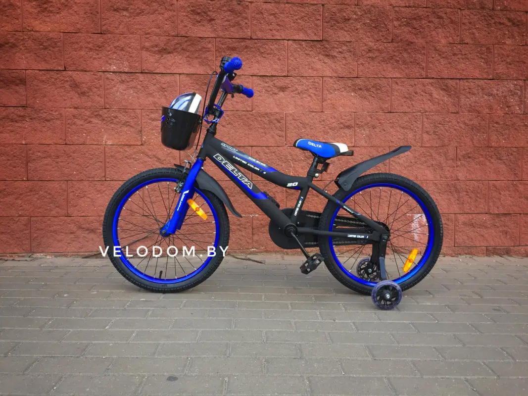 Delta Sport-20" черный/синий 1