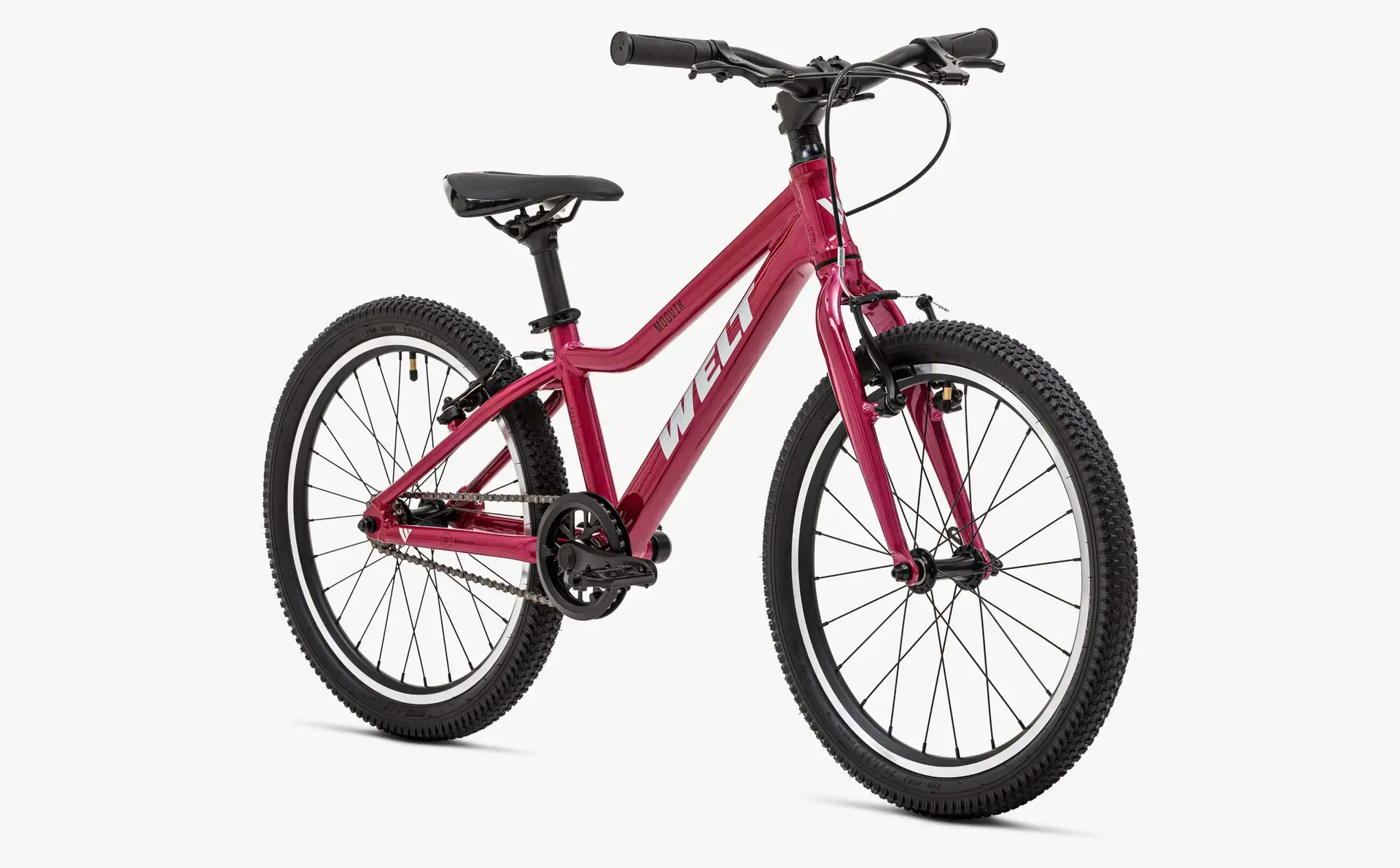 Детский велосипед Welt Moovix 1.0 VB 20 Electric Pink 1