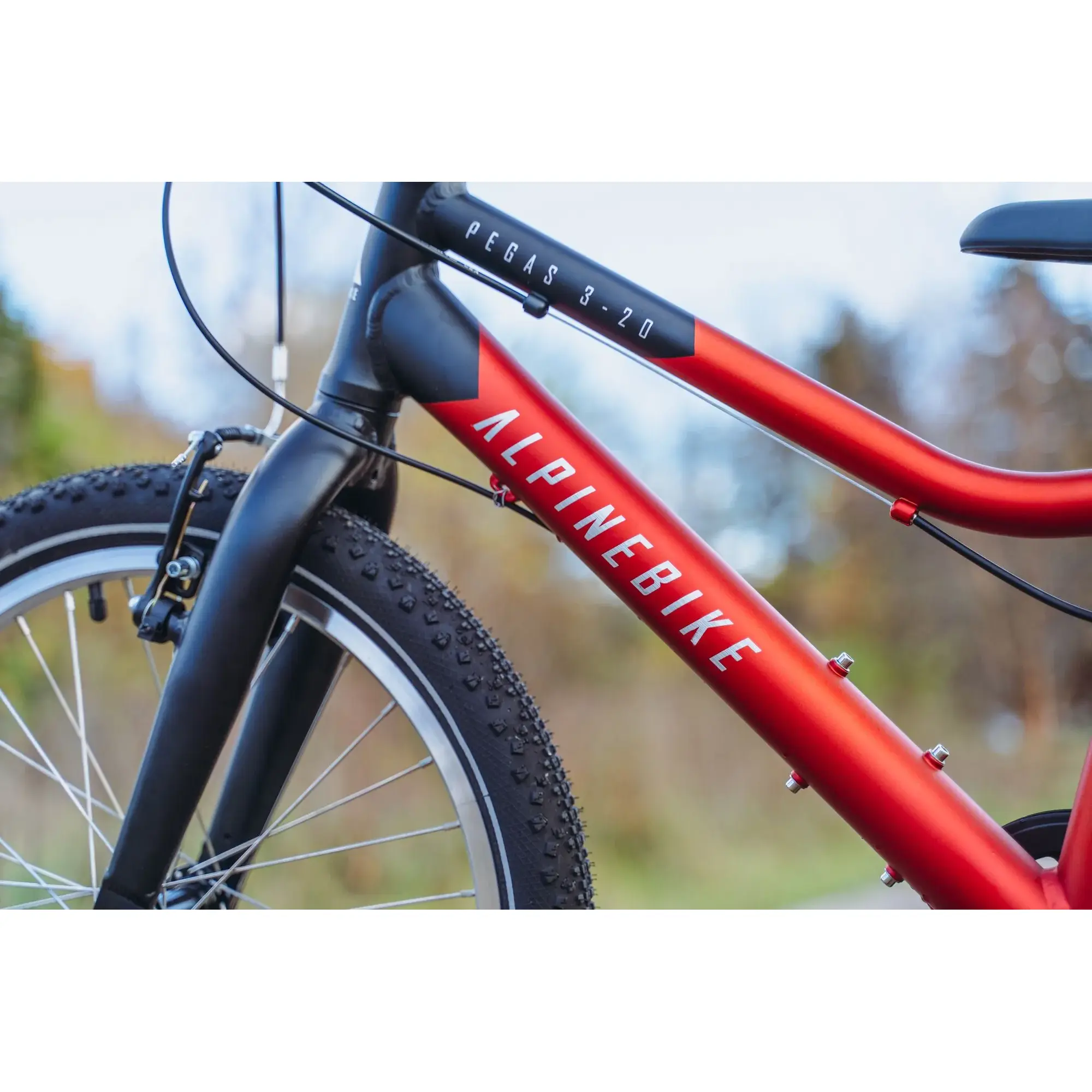 Детский велосипед Alpinebike Pegas 3-20 рассветный оранжевый 1