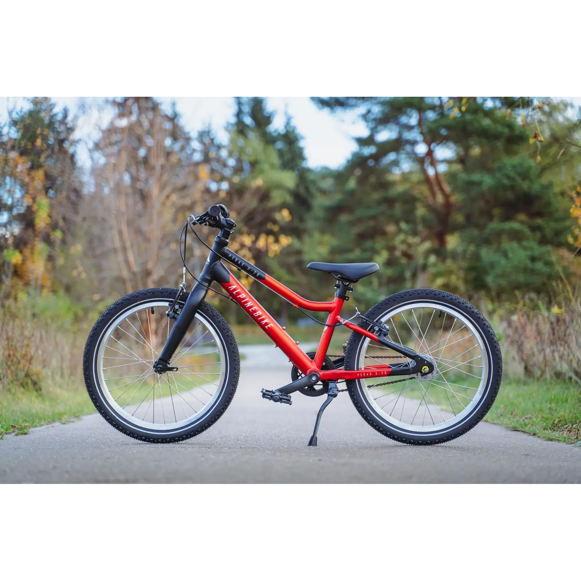 Детский велосипед Alpinebike Pegas 3-20 рассветный оранжевый 1