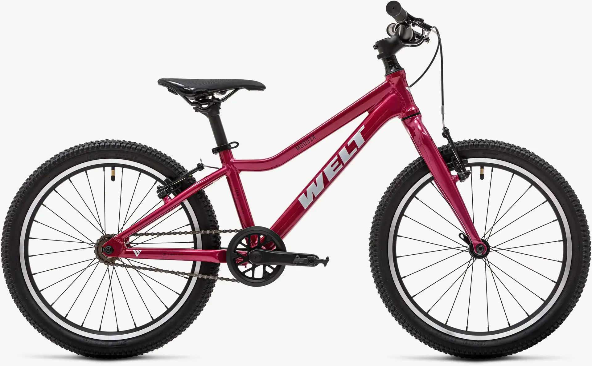 Детский велосипед Welt Moovix 1.0 VB 20 Electric Pink 1