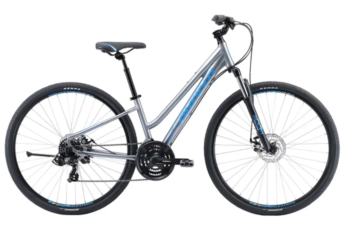 Avanti Discovery 1 Low 28 серый 1
